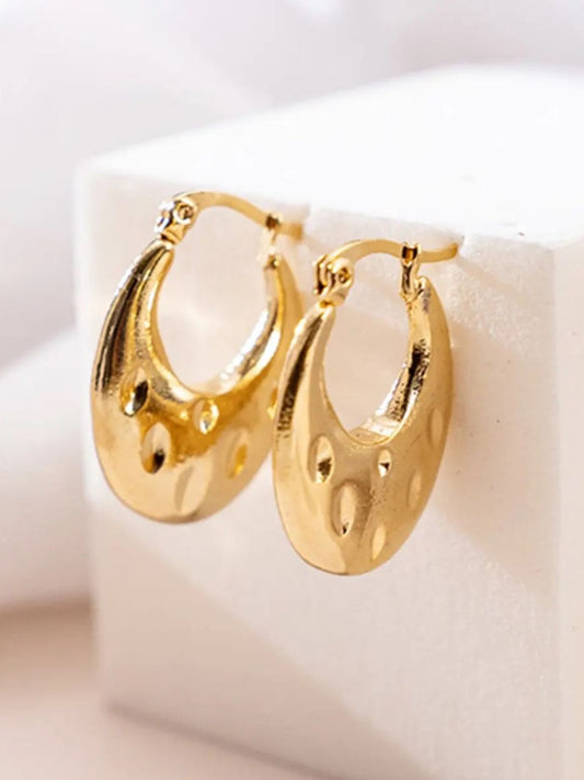 Chubby Hoop Earrings