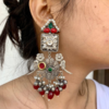 Parrot Motif Handmade Earring- Red